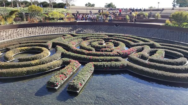 Water Garden