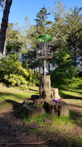 Elevated Basket