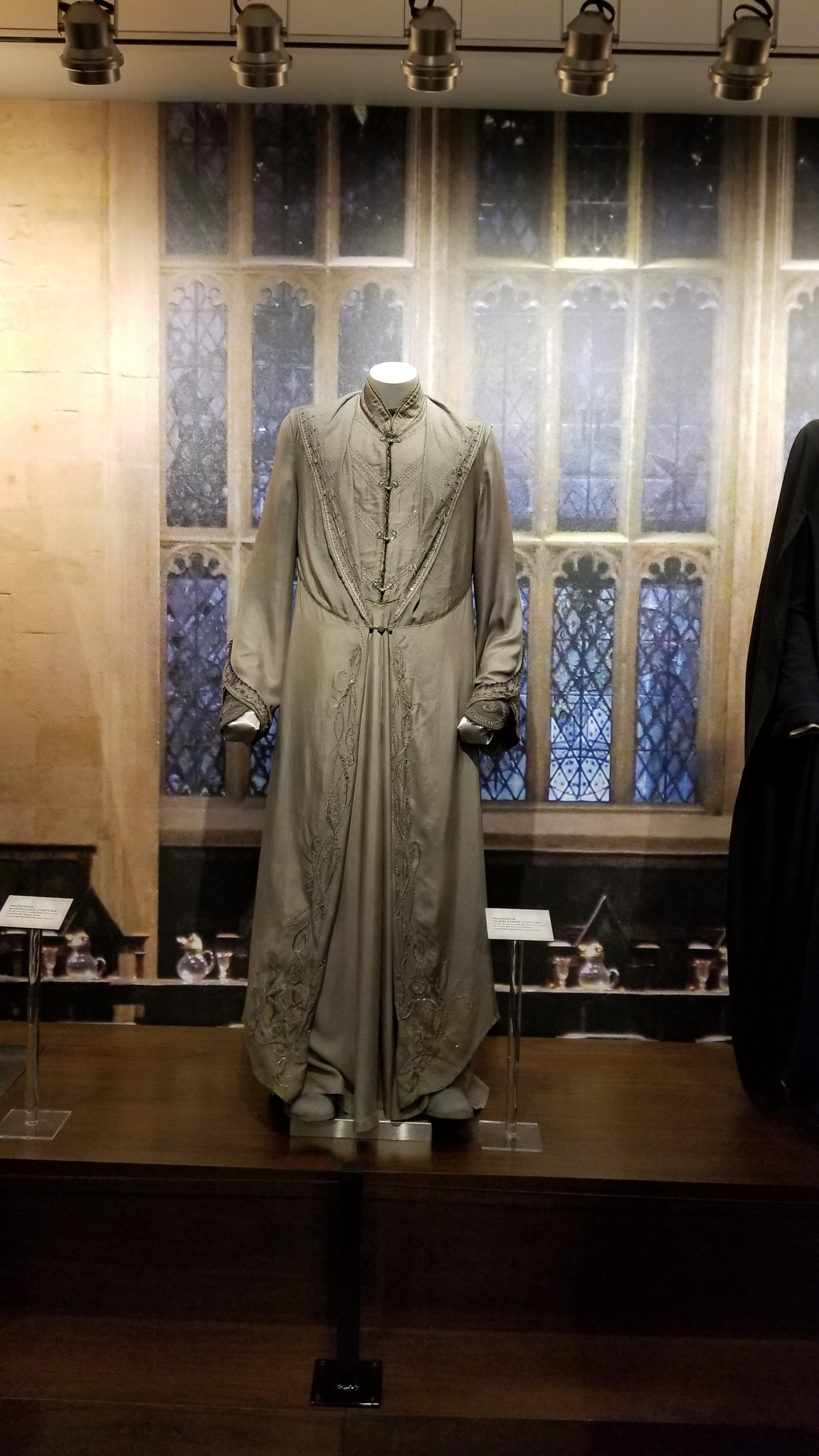 Harry Potter costume